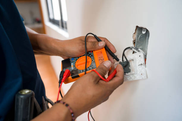 Best Electrical Repair Services  in Swartz Creek, MI