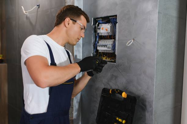 Best Affordable Emergency Electrician  in Swartz Creek, MI